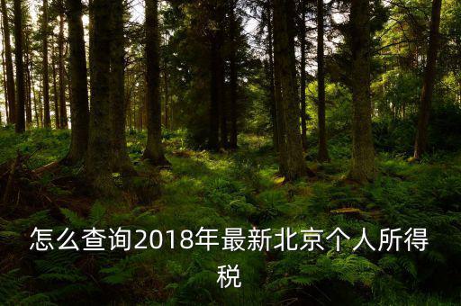 北京如何查詢(xún)個(gè)稅完稅證明，怎么查詢(xún)2018年最新北京個(gè)人所得稅