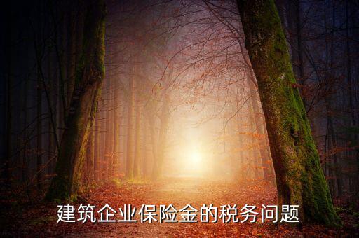 保險(xiǎn)公司稅務(wù)管理如何處理，建筑企業(yè)保險(xiǎn)金的稅務(wù)問題