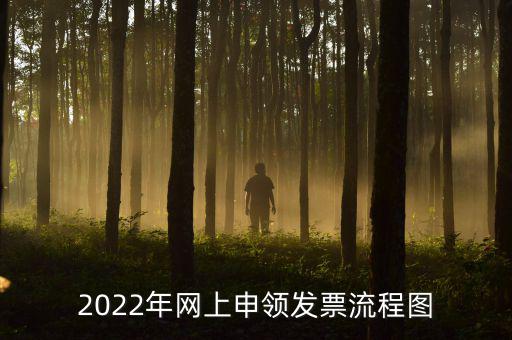 2022年網(wǎng)上申領(lǐng)發(fā)票流程圖