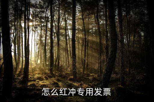 專票如何申請紅字，增值稅專用發(fā)票進項稅額紅字怎么開