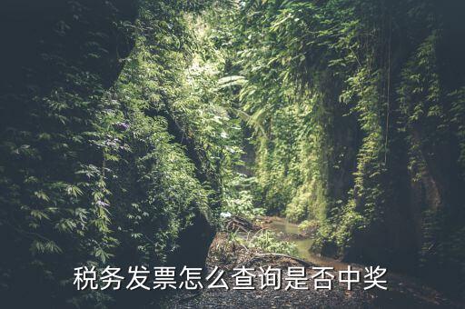 稅務(wù)發(fā)票怎么查詢是否中獎(jiǎng)