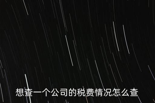 如何查詢公司納稅記錄查詢，想查一個(gè)公司的稅費(fèi)情況怎么查