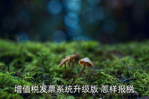 如何更新發(fā)票系統(tǒng)版本，如何將開票軟件升級為最新版本