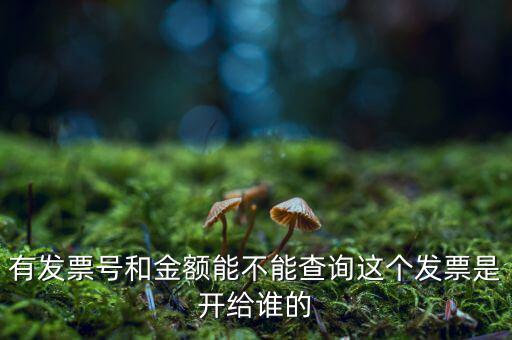 有發(fā)票號和金額能不能查詢這個發(fā)票是開給誰的