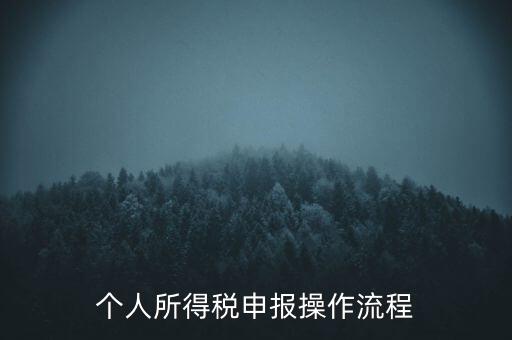 個人所得稅申報操作流程