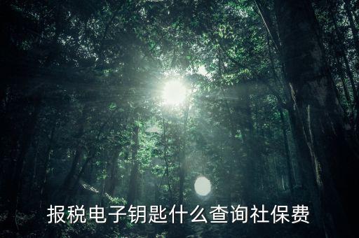 報稅電子鑰匙什么查詢社保費