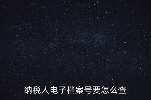 納稅人電子檔案號要怎么查