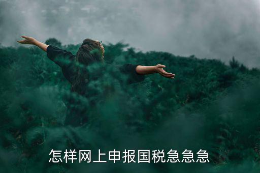 怎樣網(wǎng)上申報國稅急急急