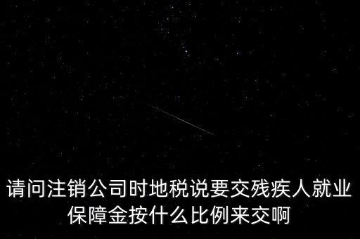 請(qǐng)問注銷公司時(shí)地稅說要交殘疾人就業(yè)保障金按什么比例來交啊