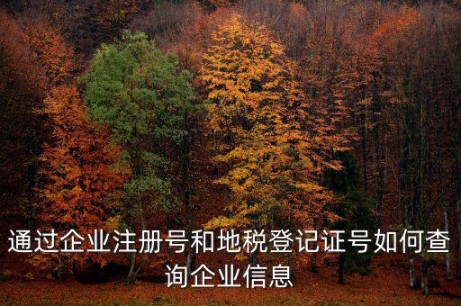 通過企業(yè)注冊(cè)號(hào)和地稅登記證號(hào)如何查詢企業(yè)信息