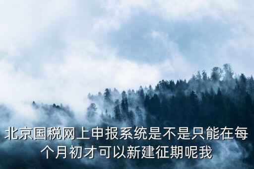 北京國稅網上申報系統(tǒng)是不是只能在每個月初才可以新建征期呢我