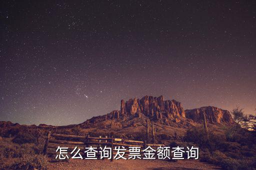 怎么查詢(xún)發(fā)票金額查詢(xún)