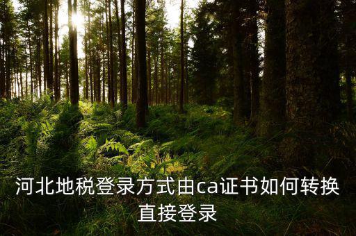 河北地稅登錄方式由ca證書如何轉(zhuǎn)換直接登錄