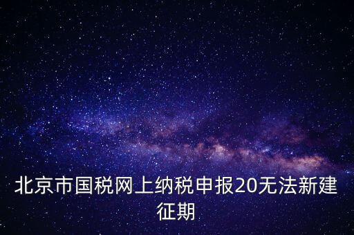 北京市國稅網上納稅申報20無法新建征期