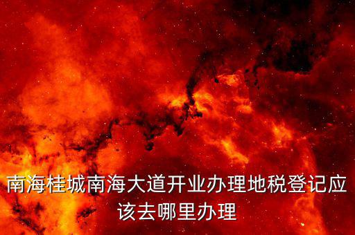 南海桂城南海大道開業(yè)辦理地稅登記應(yīng)該去哪里辦理