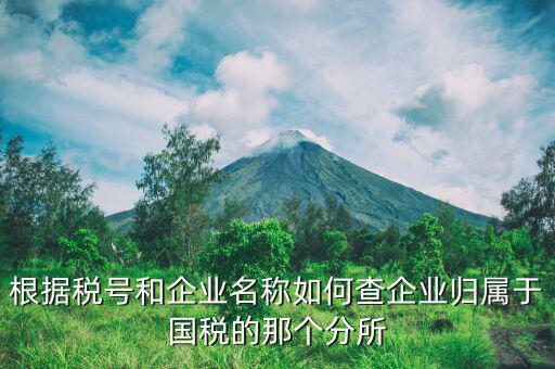 如何查詢企業(yè)所屬國稅分局，根據(jù)稅號和企業(yè)名稱如何查企業(yè)歸屬于國稅的那個分所