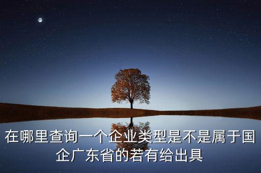 單位類型如何查詢，如何查詢企業(yè)管理類別