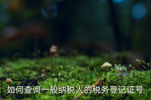 如何查詢一般納稅人的稅務(wù)登記證號