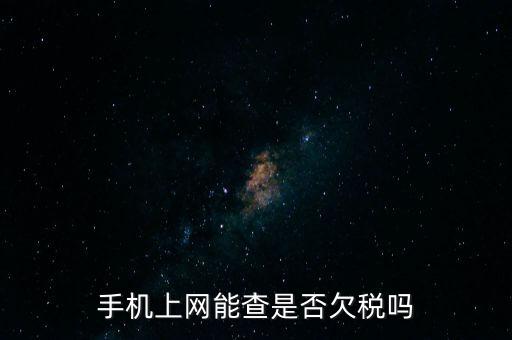 手機上網能查是否欠稅嗎