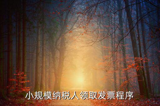 小規(guī)模納稅人領(lǐng)取發(fā)票程序