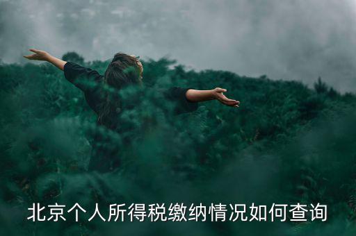 北京地稅個人如何查詢，如何查詢個人所得稅繳稅記錄