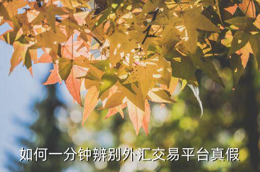 如何一分鐘辨別外匯交易平臺(tái)真假