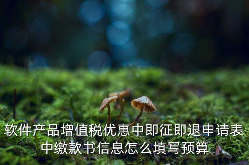 即征即退的退稅申請表如何填寫，軟件產(chǎn)品增值稅優(yōu)惠中即征即退申請表中繳款書信息怎么填寫預(yù)算