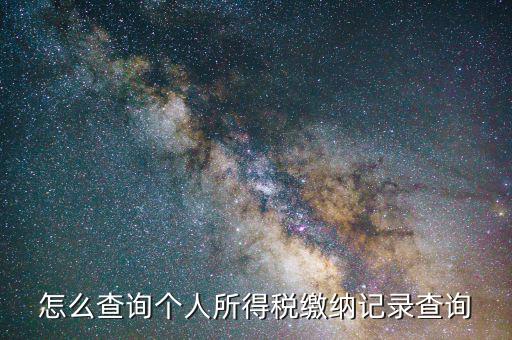 怎么查詢個人所得稅繳納記錄查詢