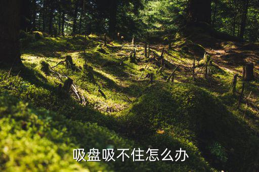  吸盤吸不住怎么辦