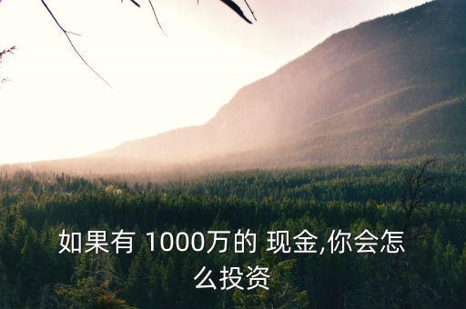 1000萬元現(xiàn)金怎么藏,如何理財?