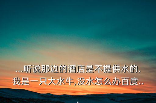 迪拜的礦泉水怎么賣,迪拜酒店配有免費(fèi)礦泉水大大增加成本