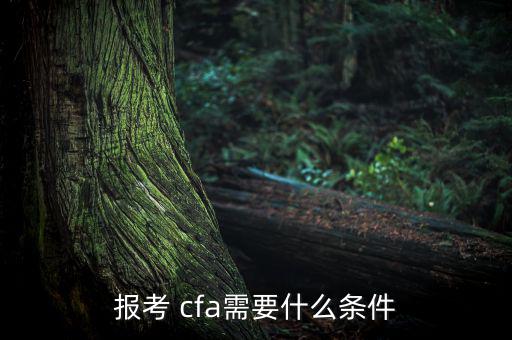 報考 cfa需要什么條件