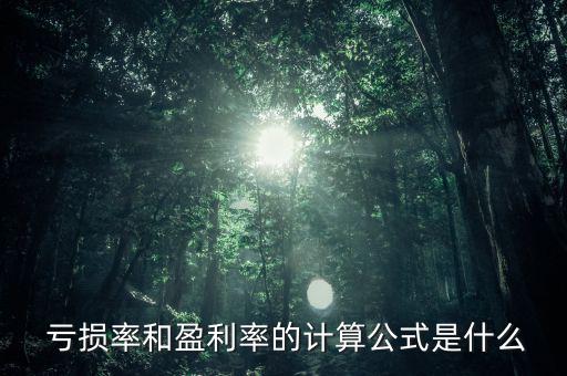  虧損率和盈利率的計(jì)算公式是什么