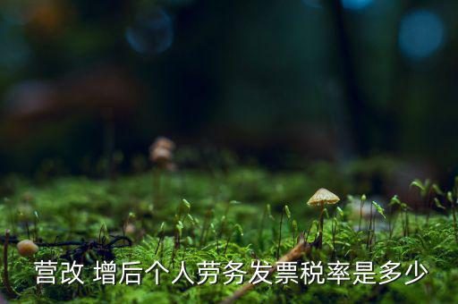 營改增后個稅怎么征收,新征收稅率3%為小規(guī)模納稅人適用稅率