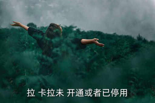 拉卡拉商戶開通未通過怎么辦,武漢出現(xiàn)第一起病例