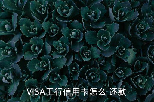 VISA工行信用卡怎么 還款