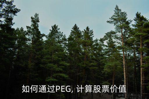 如何通過PEG, 計算股票價值