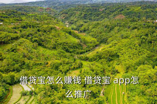  借貸寶怎么賺錢(qián) 借貸寶 app怎么推廣