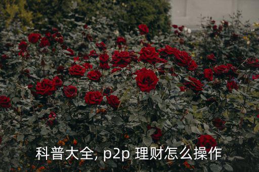 科普大全, p2p 理財怎么操作