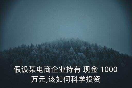 假設某電商企業(yè)持有 現(xiàn)金 1000萬元,該如何科學投資