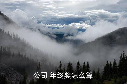 公司 年終獎(jiǎng)怎么算