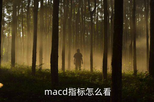 macd的線(xiàn)怎么看,如何看和使用macd線(xiàn)