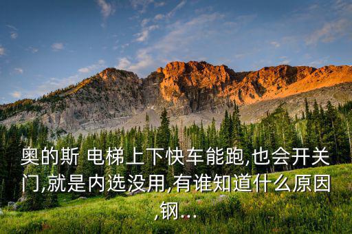 奧的斯 電梯上下快車能跑,也會(huì)開關(guān)門,就是內(nèi)選沒用,有誰知道什么原因,鋼...