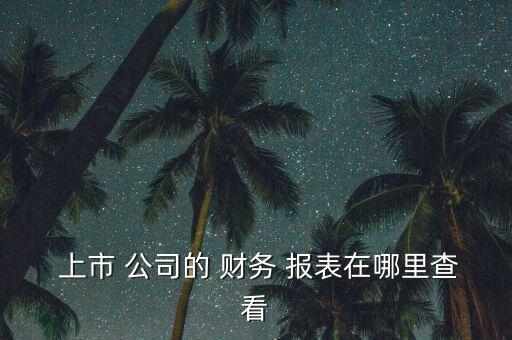  上市 公司的 財(cái)務(wù) 報(bào)表在哪里查看