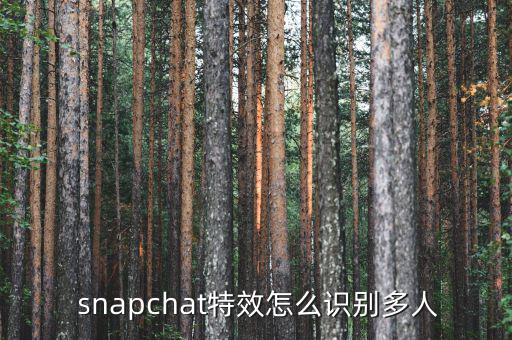  snapchat特效怎么識(shí)別多人