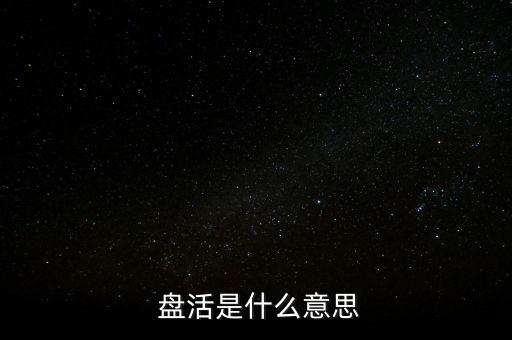  盤活是什么意思