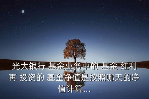 光大銀行 基金業(yè)務(wù)中的 基金 紅利再 投資的 基金凈值是按照哪天的凈值計(jì)算...