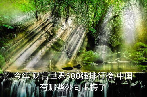 今年 財富世界500強(qiáng)排行榜,中國有哪些公司上榜了