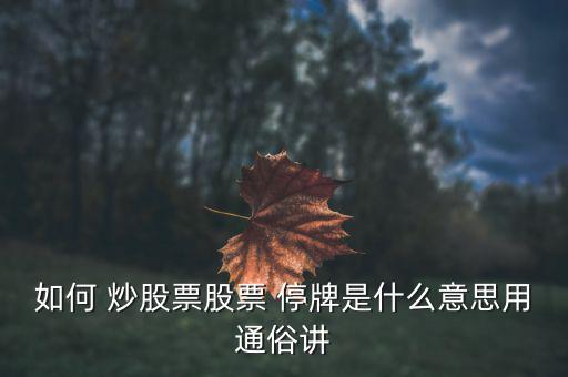 如何 炒股票股票 停牌是什么意思用通俗講