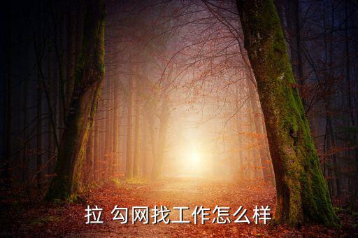 拉 勾網(wǎng)找工作怎么樣